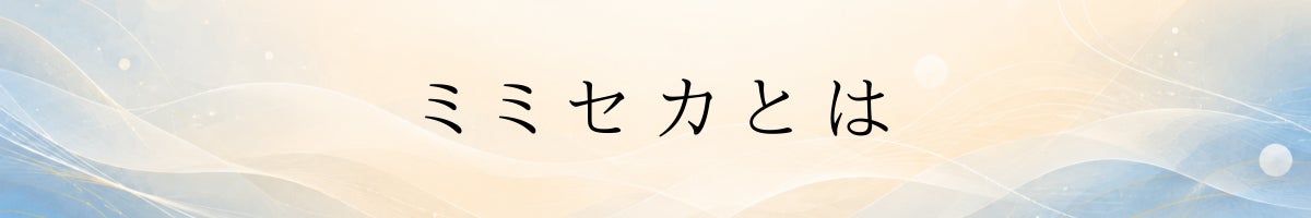 ミミセカとは