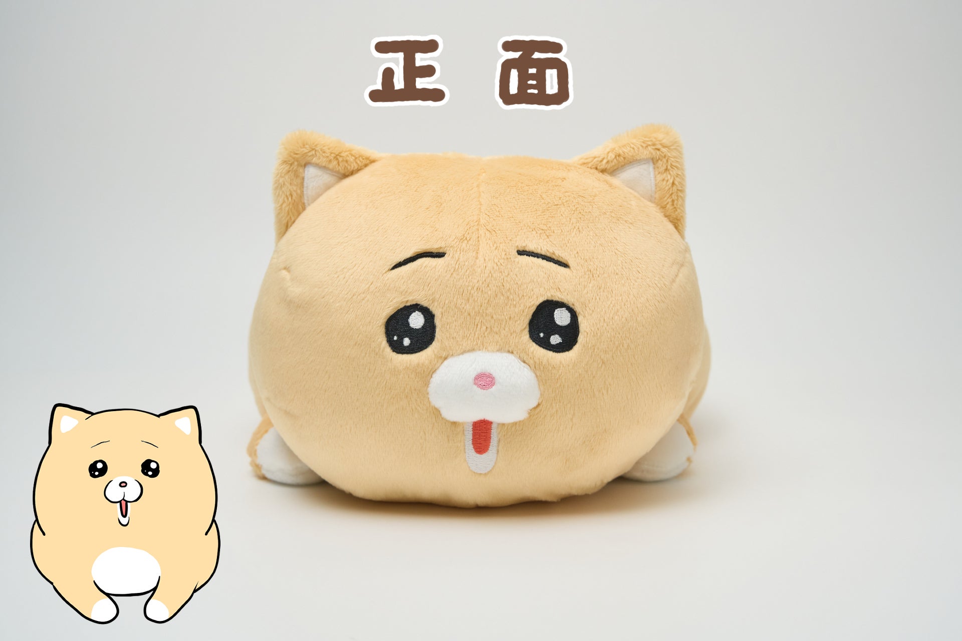肉球金貨！？純金！？ 可愛すぎる♡ 限定品！カード付！COA付 限定品ネコちゃん 泣きむし猫のキィちゃんティッシュケース化プロジェクト！ - CAMPFIRE