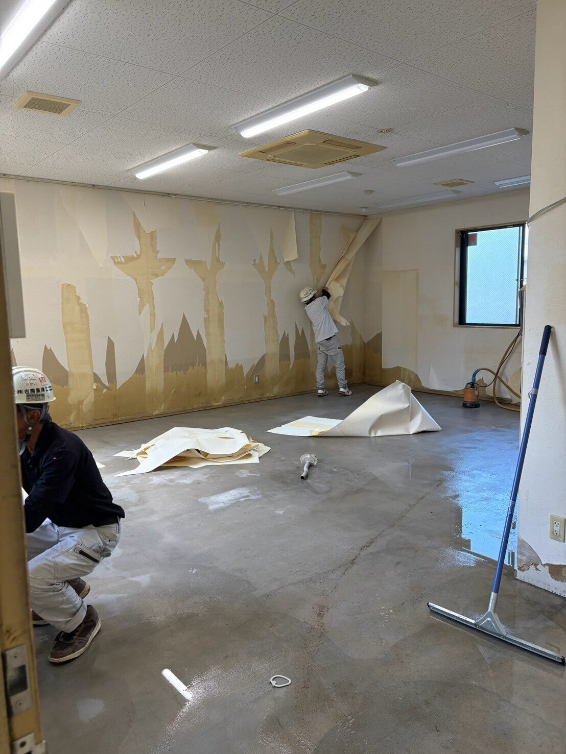壁紙を剥がす復旧作業