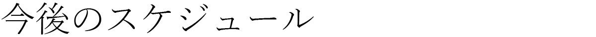 今後のスケジュール