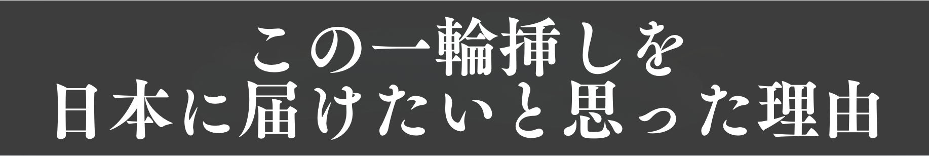 この一輪挿しを、日本に届けたいと思った理由。