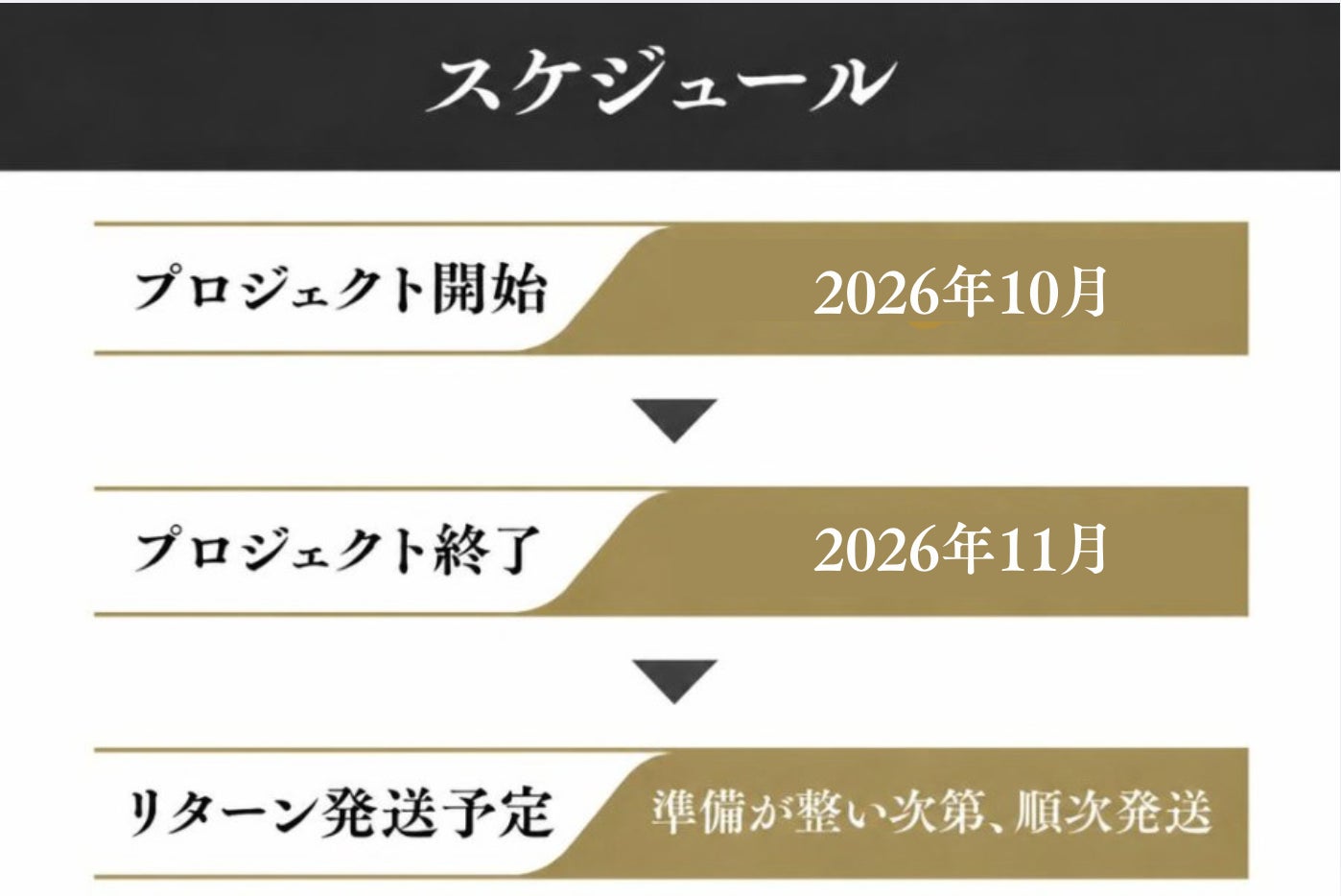 スケジュール