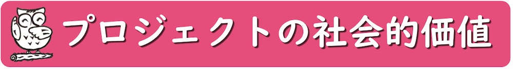 プロジェクトの社会的価値