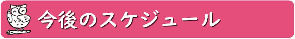 今後のスケジュール