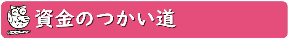 資金のつかい道