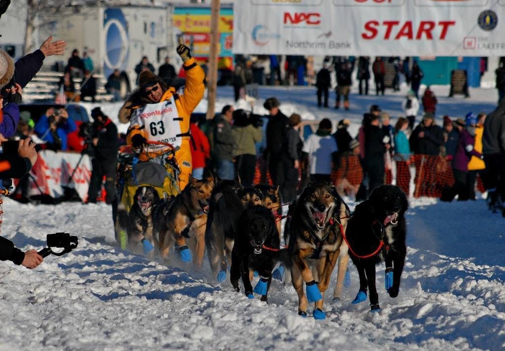 今野道博、2019年アラスカで開催される世界で最も過酷な犬ぞりレースへ