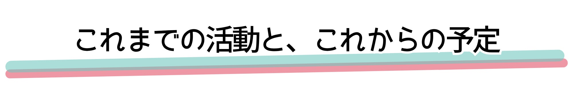 これまでの活動と、これからの予定