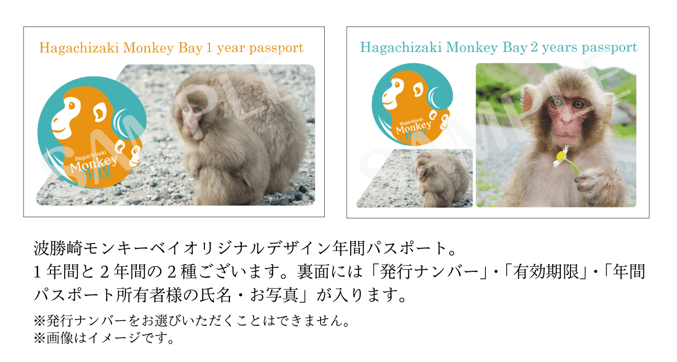 日本猿 イラスト 無料イラスト画像