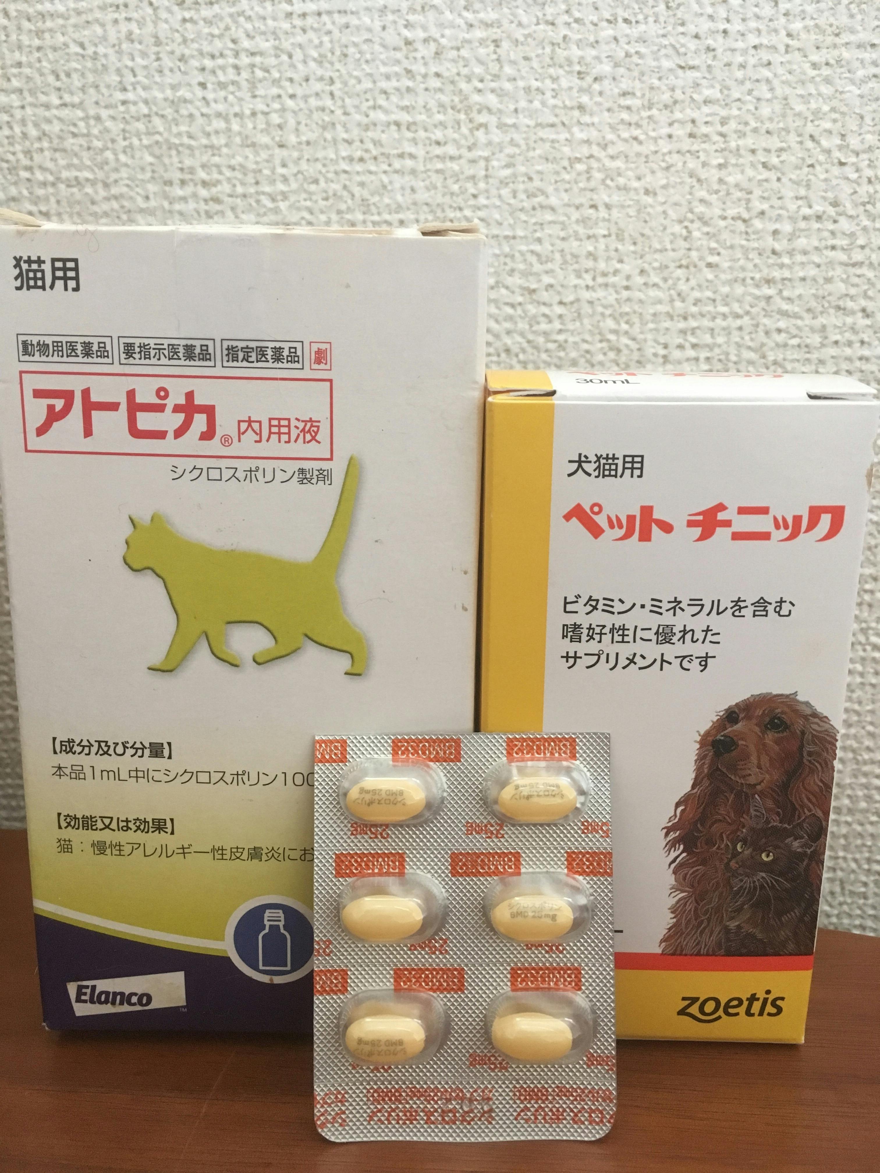 再生性貧血 難病 にかかった愛猫を助けたい Campfire キャンプファイヤー 再生性貧血 難病 にかかった愛猫を助けたい Campfire キャンプファイヤー