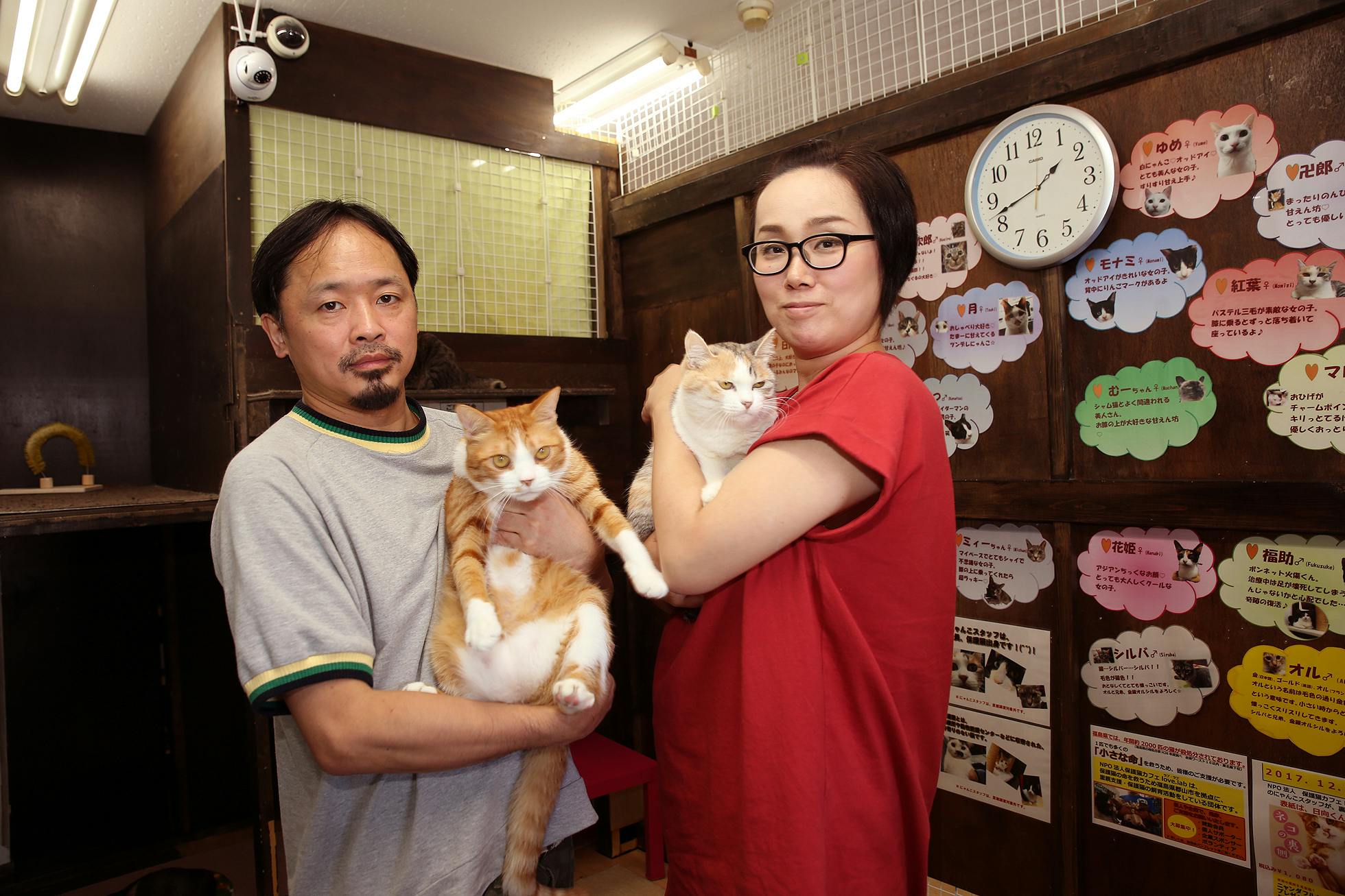 新型コロナウイルスの影響を受けても保護猫活動を続けたい Campfire キャンプファイヤー 新型コロナウイルスの影響を受けても保護猫活動を続けたい Campfire キャンプファイヤー