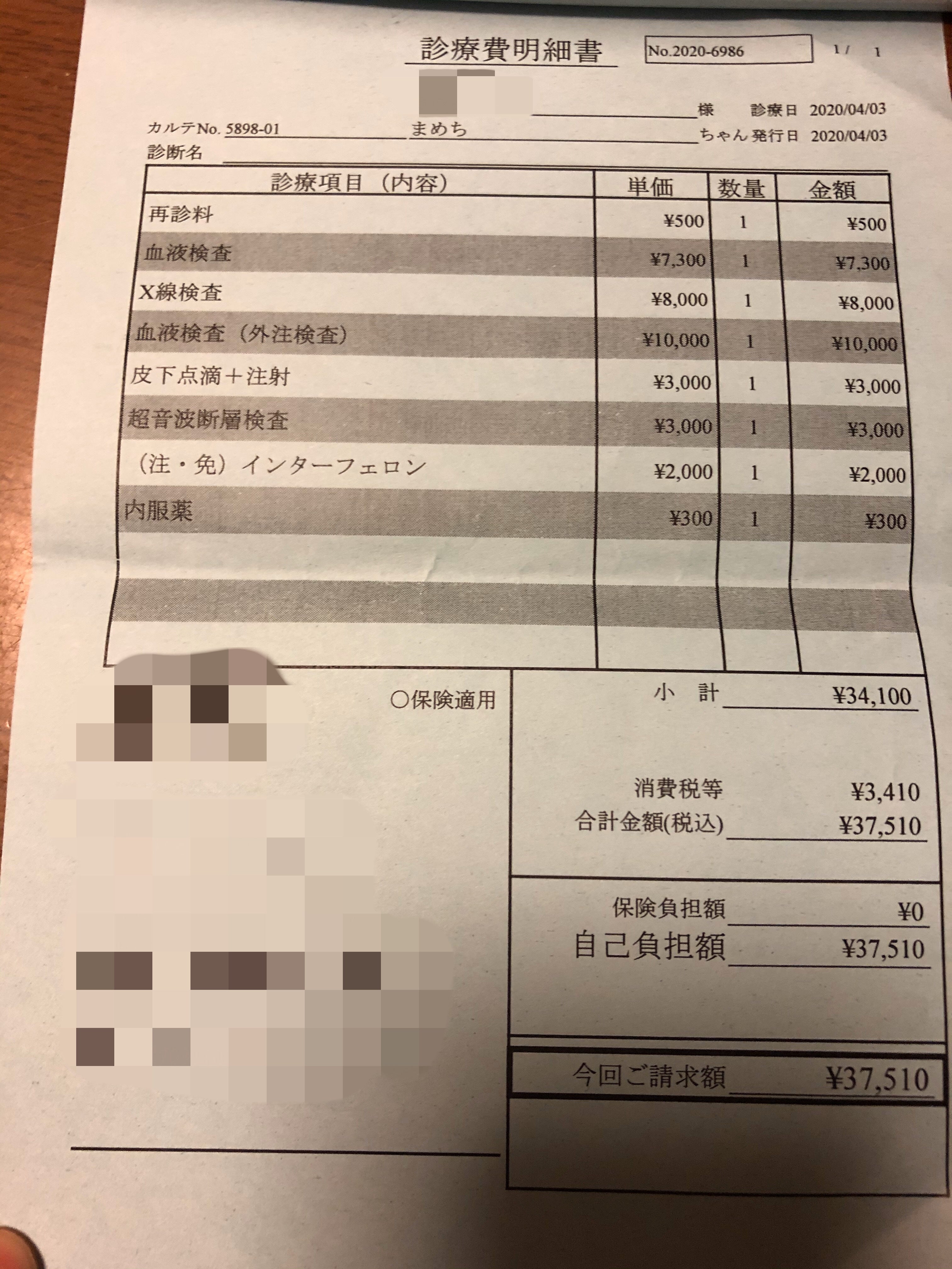 致死率100 のfip 猫伝染性腹膜炎 と闘う小さな命にどうか力をお貸し下さい Campfire キャンプファイヤー