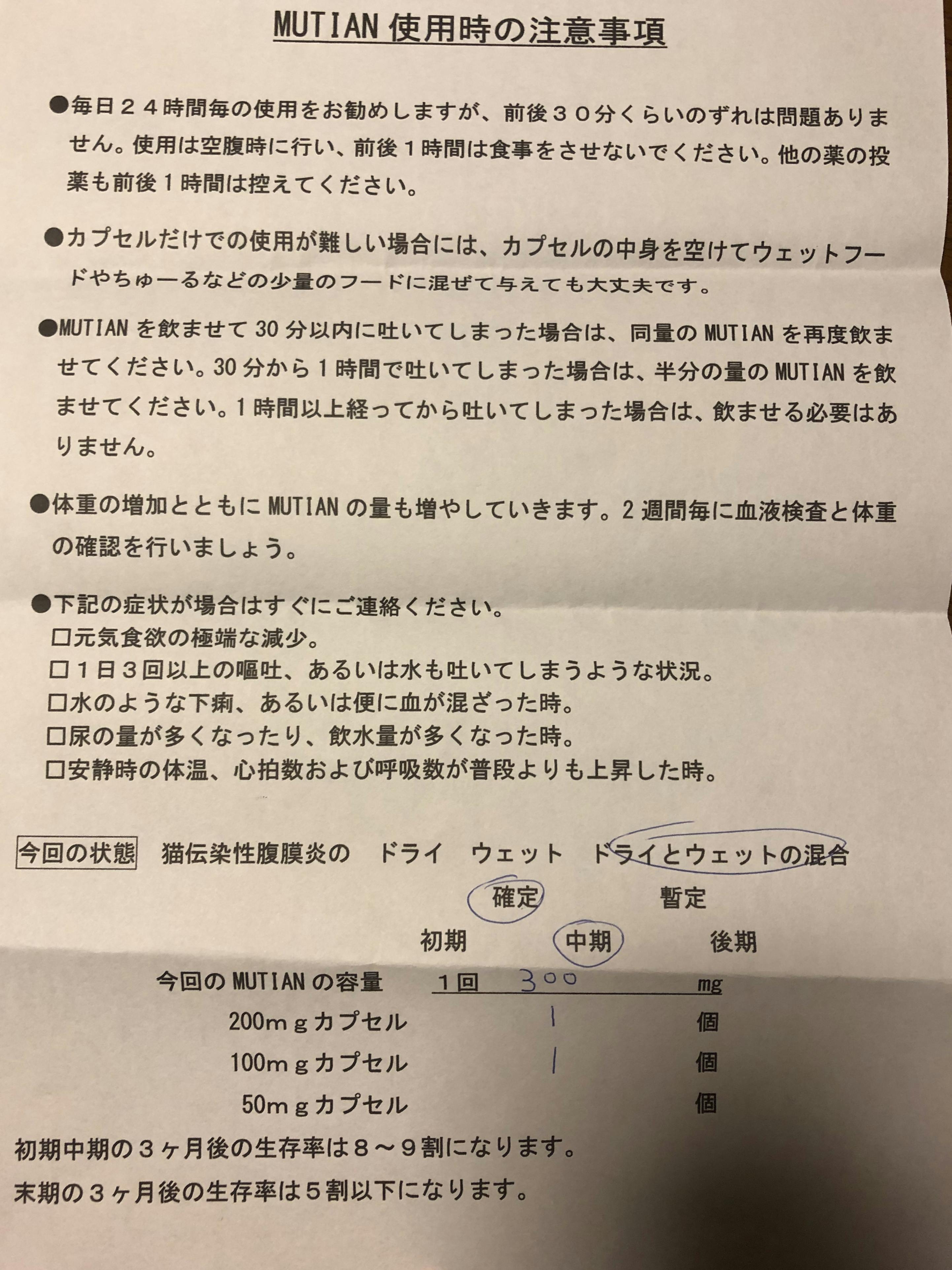 致死率100 のfip 猫伝染性腹膜炎 と闘う小さな命にどうか力をお貸し下さい Campfire キャンプファイヤー