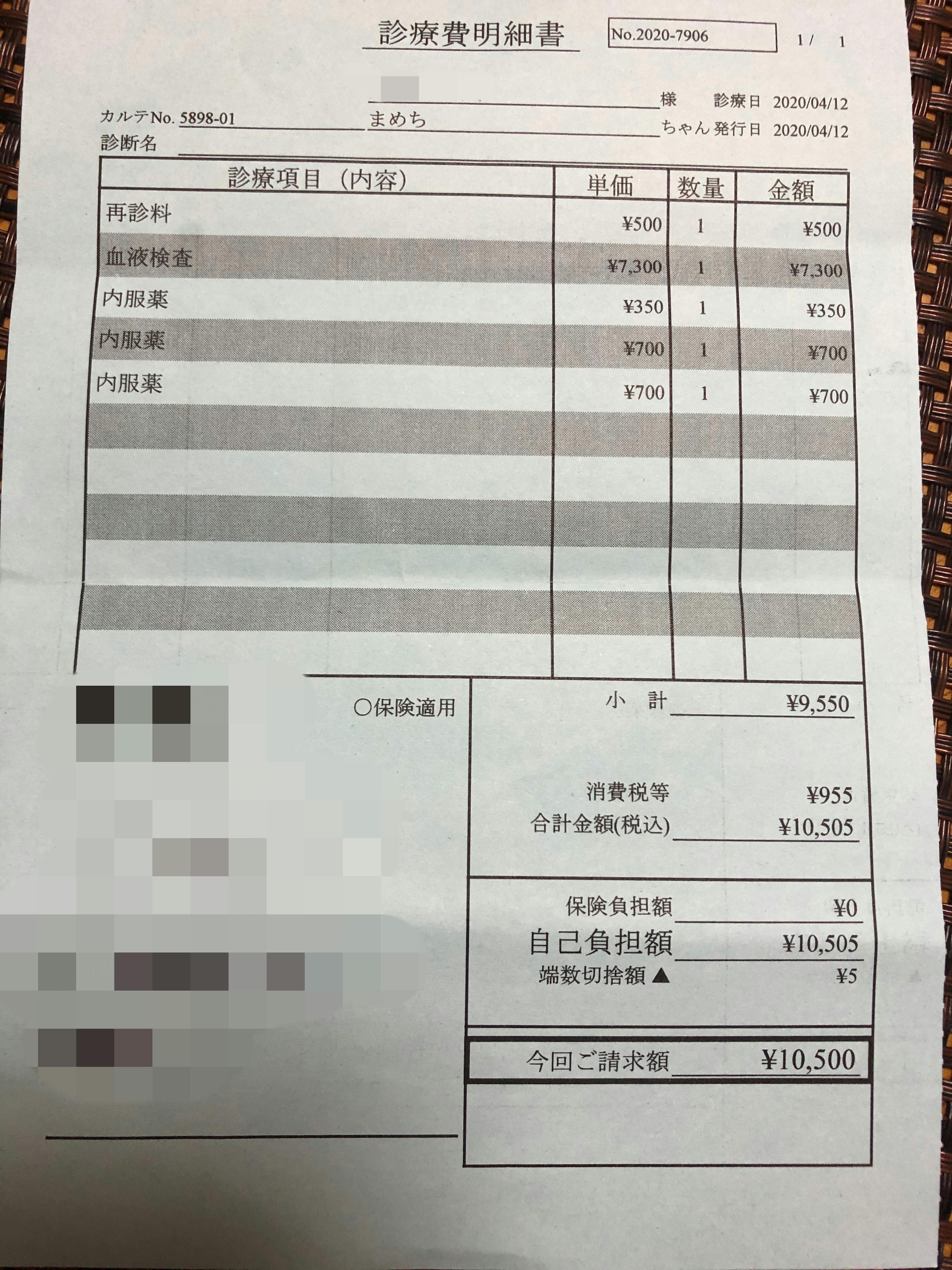 致死率100％のFIP(猫伝染性腹膜炎)と闘う小さな命にどうか力をお貸し 