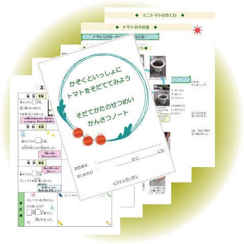 おうちでフルーツトマトを育てよう 野菜の力で元気を届けるプロジェクト Campfire キャンプファイヤー おうちでフルーツトマトを育てよう 野菜の力で元気を届けるプロジェクト Campfire キャンプファイヤー