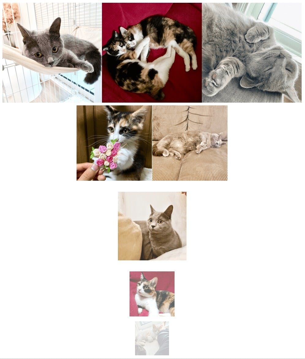 猫派 閲覧注意 ファッションのプロが考えた 猫好きのためのtシャツができました Campfire キャンプファイヤー 猫派 閲覧注意 ファッションのプロが考えた 猫好きのためのtシャツができました Campfire キャンプファイヤー