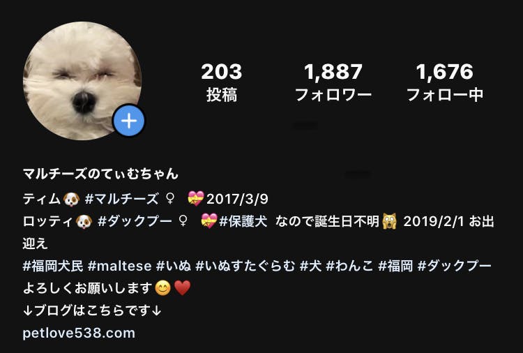 ミシンを購入して 犬服や犬の小物を製作して独自ブランドを立ち上げたい Campfire キャンプファイヤー ミシンを購入して 犬服や犬の小物を製作して独自ブランドを立ち上げたい Campfire キャンプファイヤー