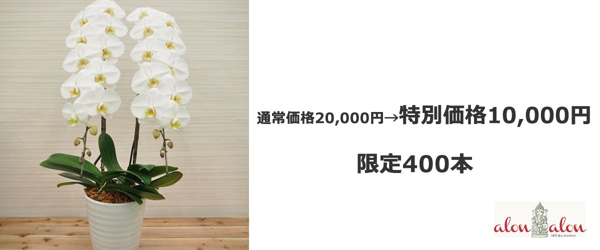 障がい者と一緒に栽培している胡蝶蘭がコロナで行き場を失いました Campfire キャンプファイヤー 障がい者と一緒に栽培している胡蝶蘭がコロナで行き場を失いました Campfire キャンプファイヤー