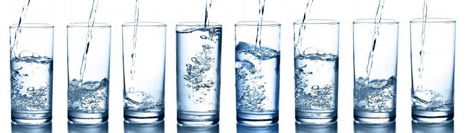 8 glasses of water� �� �미� ��결과