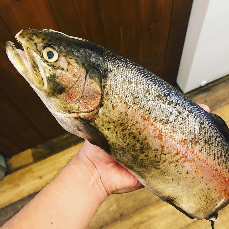 13日熟成させた銀河サーモン