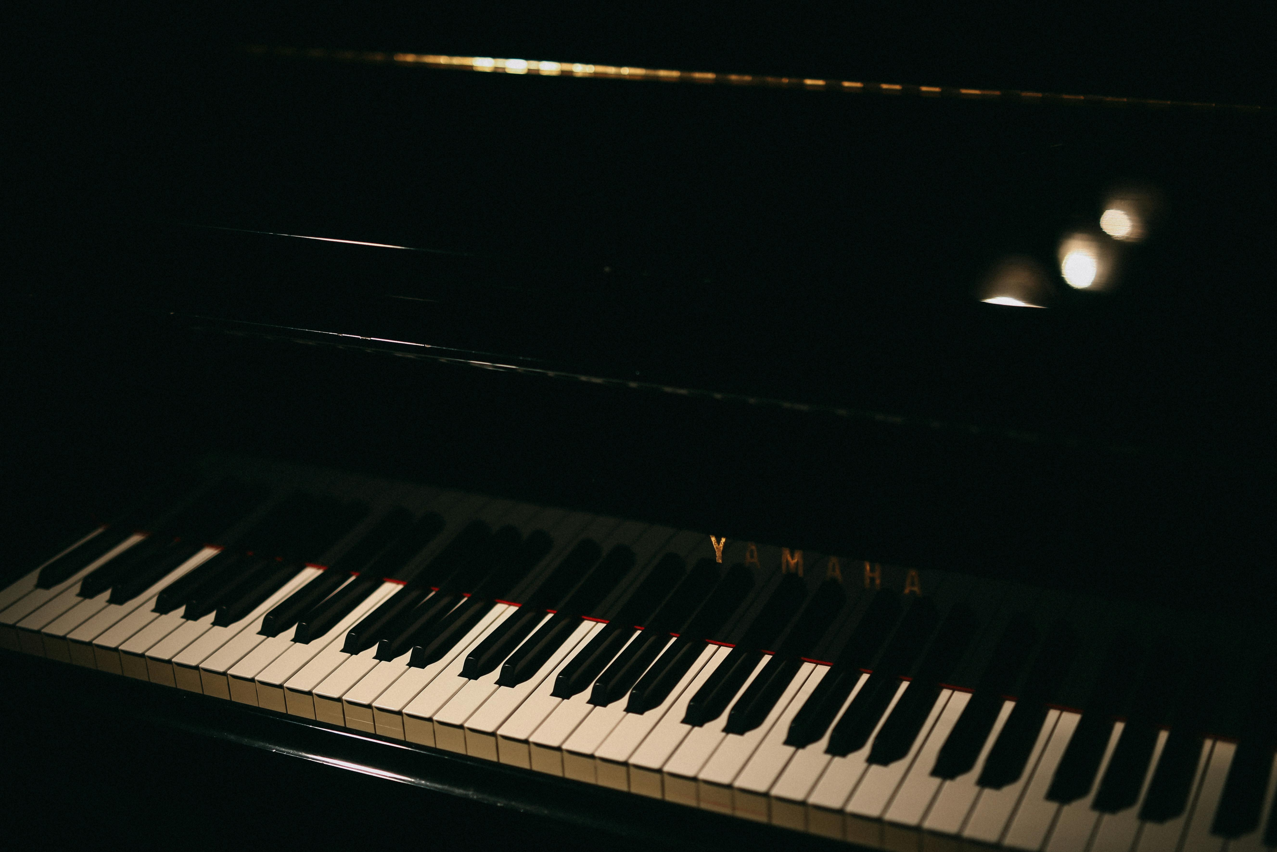 Save The 7th Floor ライブハウス渋谷セブンスフロアを守りたい Campfire キャンプファイヤー