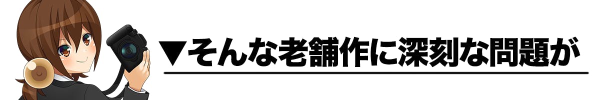 10周年記念 新主人公と共に ルミナスダイアリーシリーズ２ を始めよう Campfire キャンプファイヤー