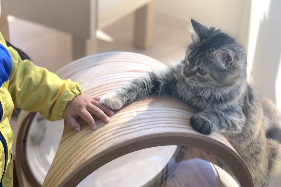 動物たちの今を守り未来のお客様になろう Campfire キャンプファイヤー 動物たちの今を守り未来のお客様になろう Campfire キャンプファイヤー