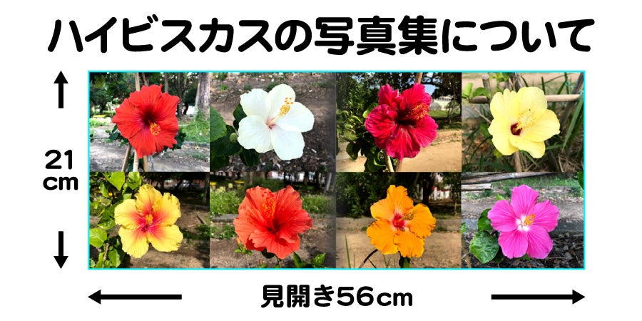 ハイビスカスの写真集についての説明画像！見開き56cmのワイドな写真集！