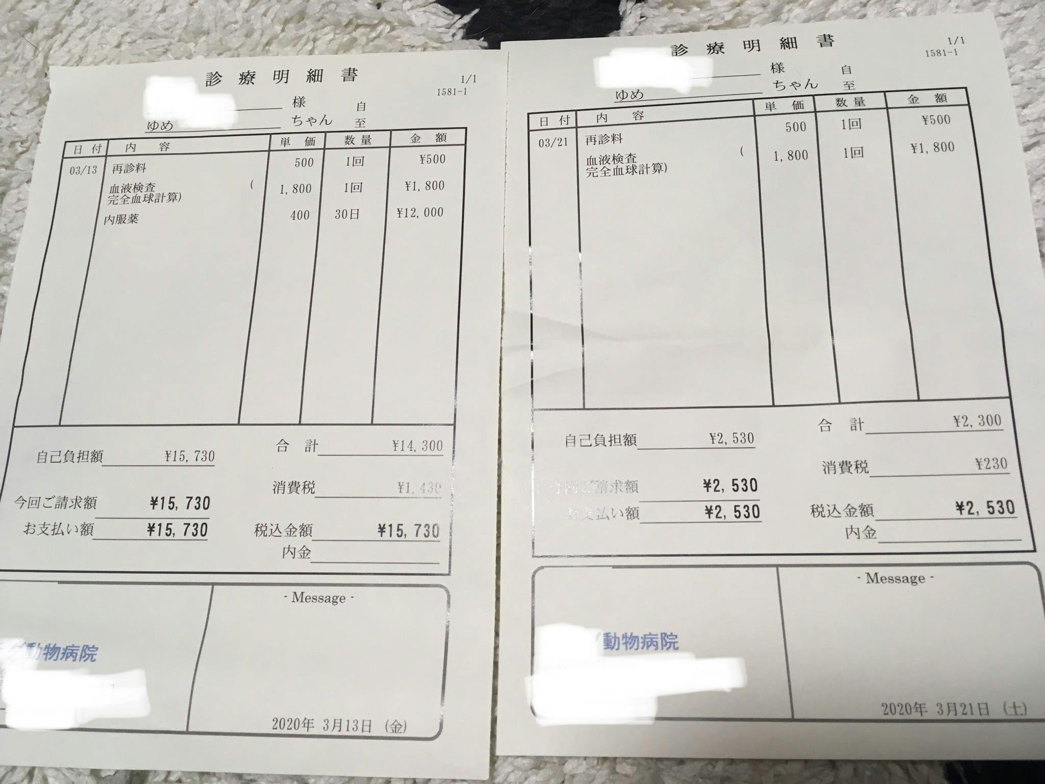 再チャレンジ 再生性貧血 難病 にかかったゆめちゃんを助けたい Campfire キャンプファイヤー 再チャレンジ 再生性貧血 難病 にかかったゆめちゃんを助けたい Campfire キャンプファイヤー