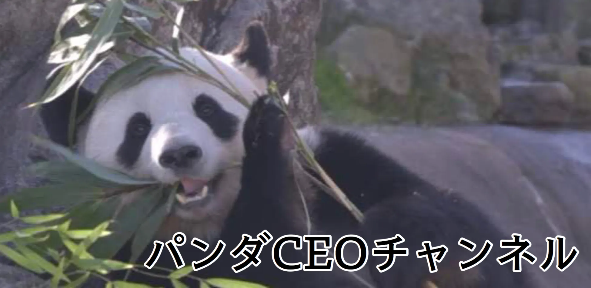 和歌山の魅力を全世界へ発信 Wakayama Media Labo を創る Campfire キャンプファイヤー 和歌山の魅力を全世界へ発信 Wakayama Media Labo を創る Campfire キャンプファイヤー