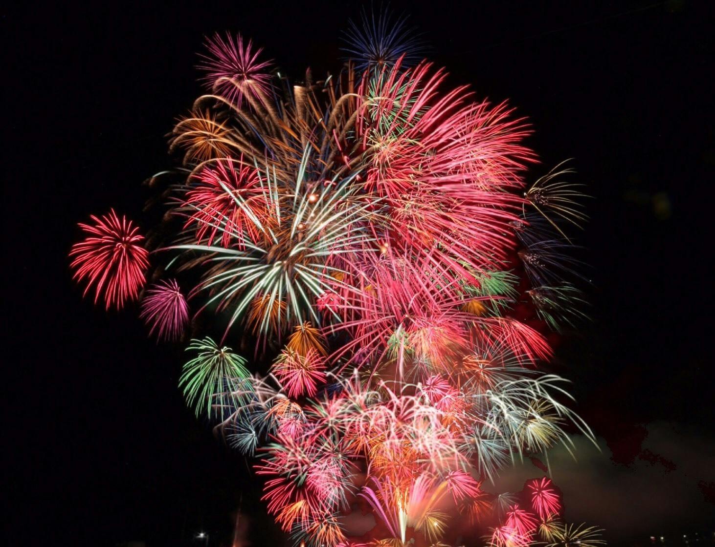 高知の夏 ほいたら 花火あげようや オンライン花火で高知の夏を取り戻す Campfire キャンプファイヤー 高知の夏 ほいたら 花火あげようや オンライン花火で高知の夏を取り戻す Campfire キャンプファイヤー