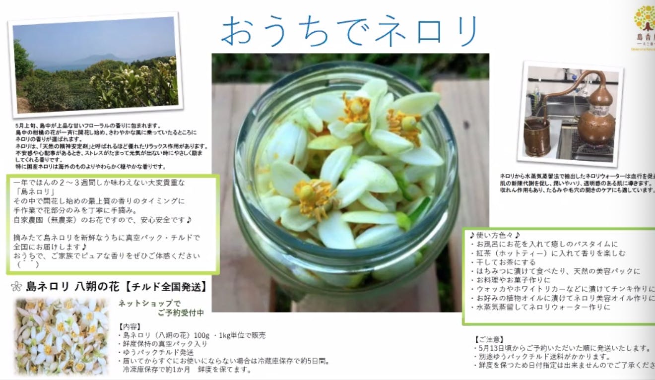オンライン ネロリ収穫体験会 に参加させていただきました 日本のネロリ 今 一番みなさんに必要なはず Muse Nest公式ブログ