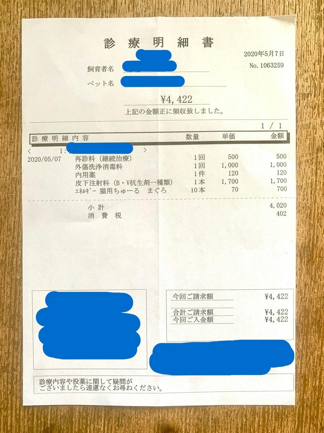 手術 治療費のお願い 長生きできないかも と言われたこの子を救いたい Campfire キャンプファイヤー 手術 治療費のお願い 長生きできないかも と言われたこの子を救いたい Campfire キャンプファイヤー