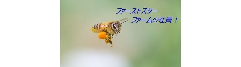 天然生はちみつの魅力や素晴しさを皆様にお届けしたい！ - CAMPFIRE 