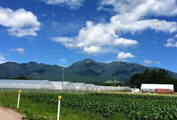 野辺山の魅力を未来へつなげたい 動画制作から始まる若手農家たちの挑戦 Campfire キャンプファイヤー 野辺山の魅力を未来へつなげたい 動画制作から始まる若手農家たちの挑戦 Campfire キャンプファイヤー