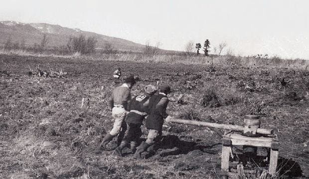 野辺山の魅力を未来へつなげたい 動画制作から始まる若手農家たちの挑戦 Campfire キャンプファイヤー