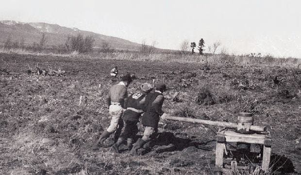 野辺山の魅力を未来へつなげたい 動画制作から始まる若手農家たちの挑戦 Campfire キャンプファイヤー 野辺山の魅力を未来へつなげたい 動画制作から始まる若手農家たちの挑戦 Campfire キャンプファイヤー