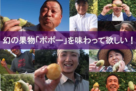 幻の果物 ポポー をみんなに食べてもらいたい Campfire キャンプファイヤー 幻の果物 ポポー をみんなに食べてもらいたい Campfire キャンプファイヤー