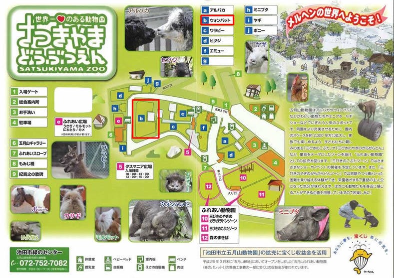 壊れてしまった池田市五月山動物園 ウォンバットてれび を復活させたい Campfire キャンプファイヤー 壊れてしまった池田市五月山動物園 ウォンバットてれび を復活させたい Campfire キャンプファイヤー