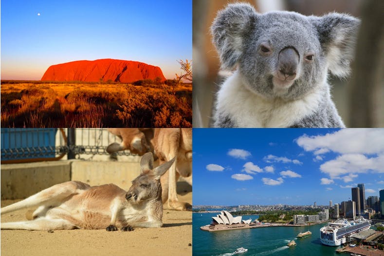 東京オリンピックで人気爆発のホッケー 大阪初の国際大会を応援しよう Campfire キャンプファイヤー 東京オリンピックで人気爆発のホッケー 大阪初の国際大会を応援しよう Campfire キャンプファイヤー