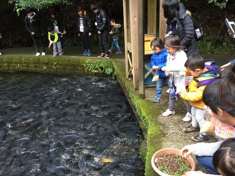 福島の子どもたちを宮崎に招待し、自然の中で安心して思いきり遊んでほしい！ - CAMPFIRE (キャンプファイヤー)