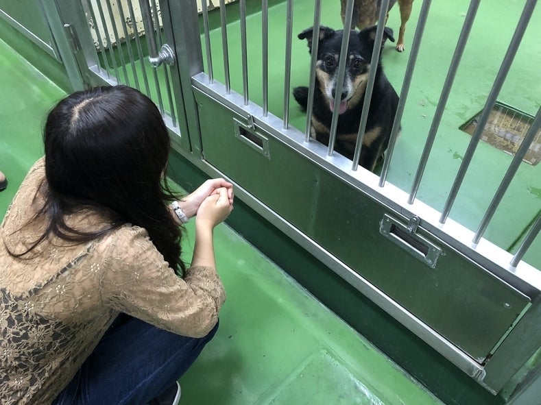 高校生活最後の挑戦 殺処分される動物を1匹でも多く救いたい Campfire キャンプファイヤー 高校生活最後の挑戦 殺処分される動物を1匹でも多く救いたい Campfire キャンプファイヤー