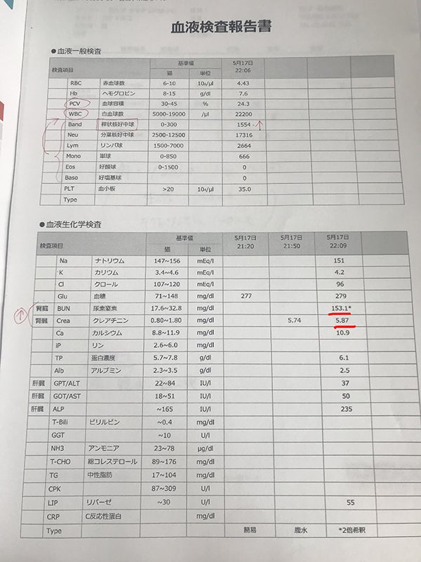 5/17の検査結果