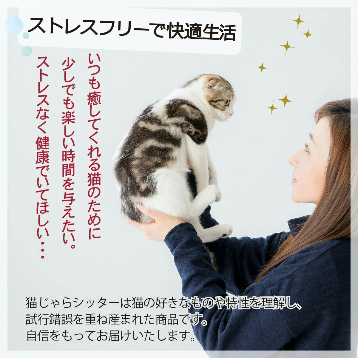 猫じゃらシッター Booster限定 スペシャルセット Campfire キャンプファイヤー