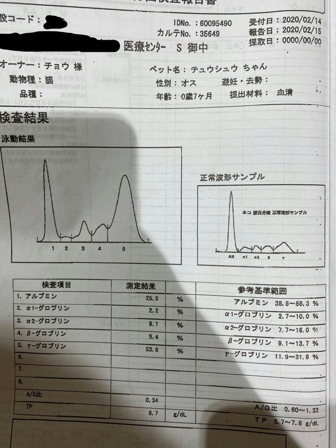 蜉ｩ縺代 縺上 縺輔 賢莨晄沒諤ｧ閻ｹ閹懃ｎ Fip 縺ｮ豐ｻ逋りｲｻ縺ｮ縺泌鵠蜉帙 縺企 倥 Campfire 繧ｭ 繝 繝ｳ繝励ヵ繧 繧 繝 繝ｼ