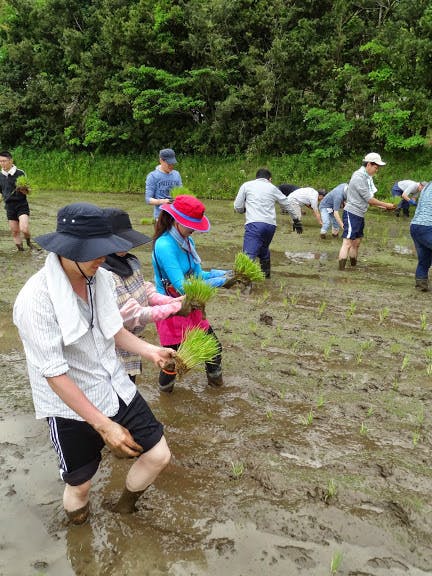 吉祥寺から１００年元氣になるような農家さんを応援するフェスを開催したい Campfire キャンプファイヤー