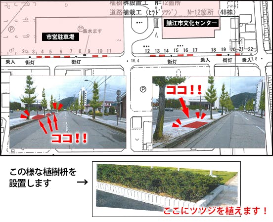 行政と市民の協働事業 つつじマラソンのコースにツツジの花を咲かせよう Campfire キャンプファイヤー