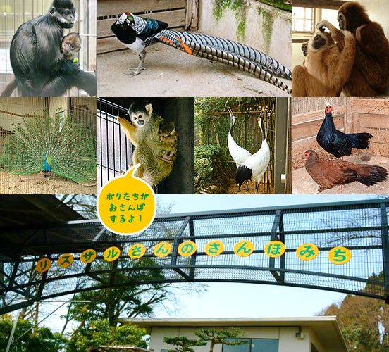 日本一小さい西山動物園！みんなに愛される動物園を守っていきたい 