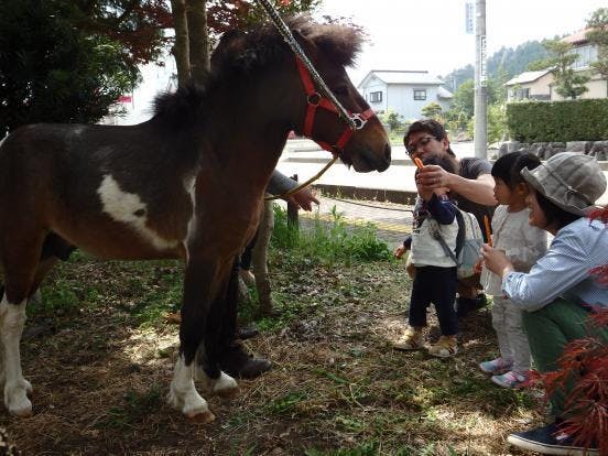 珠洲商店街に 馬車 と 馬カフェ を 馬の力でまちを盛り上げたい Campfire キャンプファイヤー 珠洲商店街に 馬車 と 馬カフェ を 馬の力でまちを盛り上げたい Campfire キャンプファイヤー