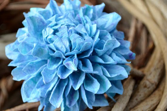 越前和紙で作る 和紙乃華 を広め 小さな地場産業に そして新しい雇用に Campfire キャンプファイヤー 越前和紙で作る 和紙乃華 を広め 小さな地場産業に そして新しい雇用に Campfire キャンプファイヤー