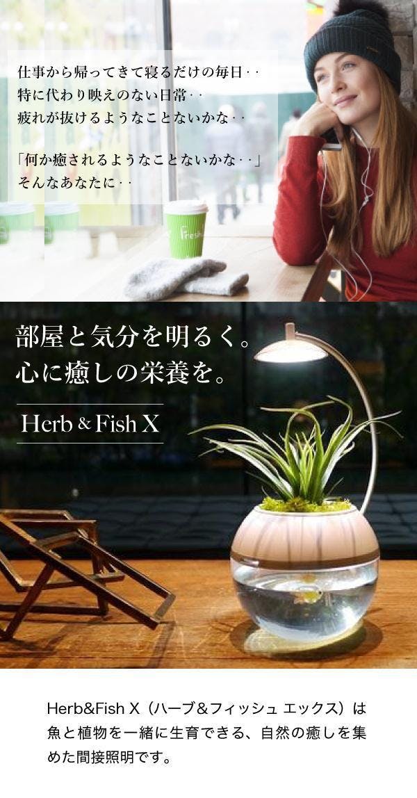 間接照明に 生命 を 植物と魚を育成できるledライト 水換えお手入れ超簡単 Campfire キャンプファイヤー 間接照明に 生命 を 植物と魚を育成できるledライト 水換えお手入れ超簡単 Campfire キャンプファイヤー